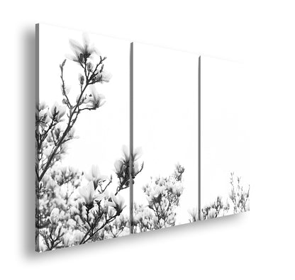 Hauptbild Schwarz & Weiß 3 Teilig