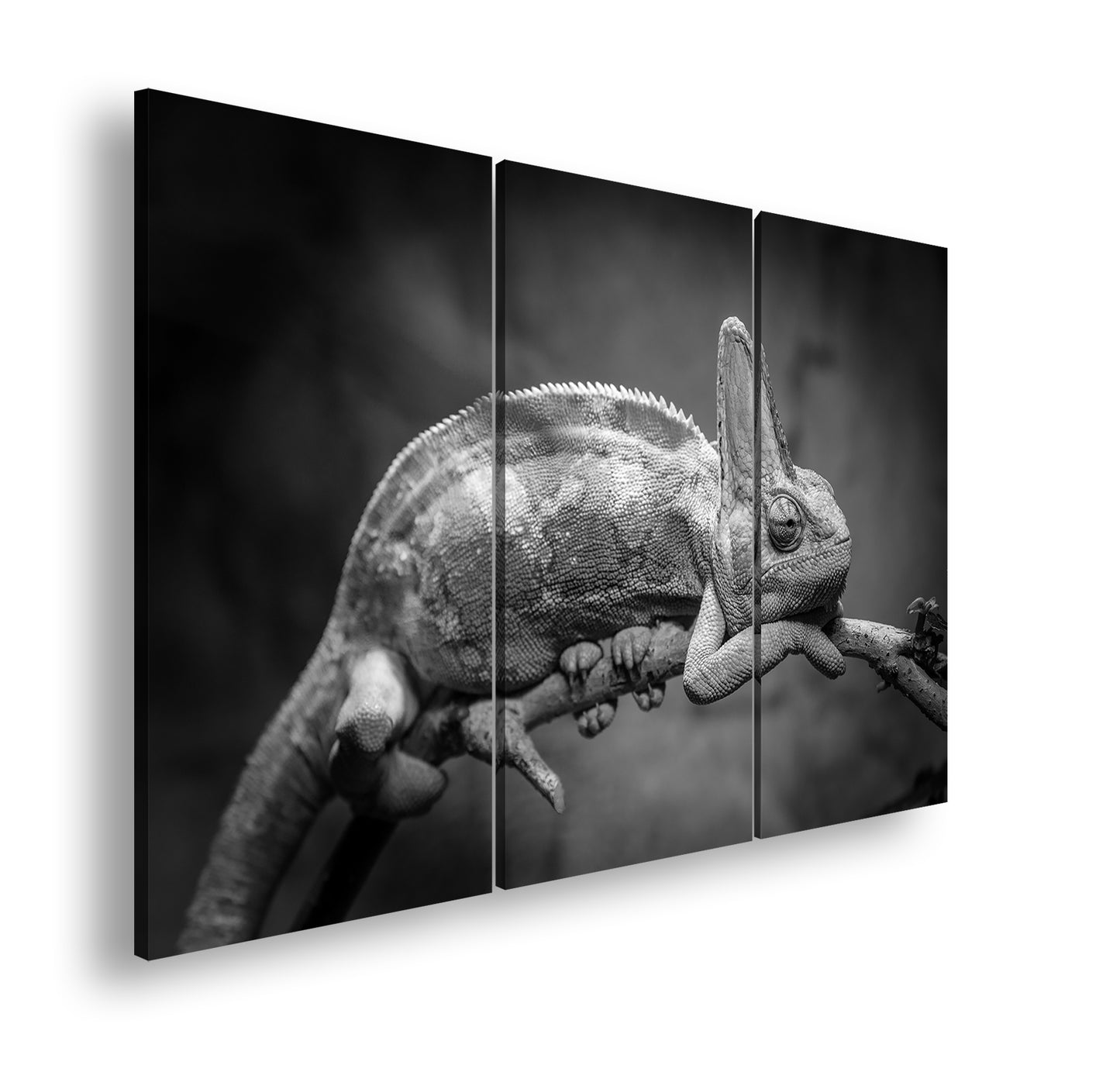 Hauptbild Schwarz & Weiß 3 Teilig