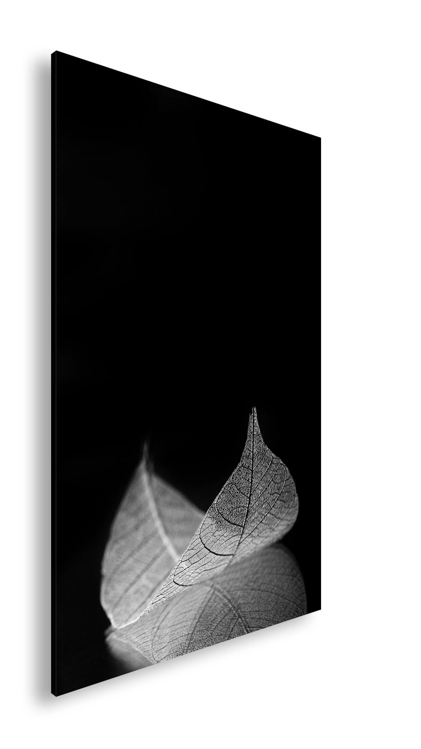 Hauptbild Schwarz & Weiß Standart