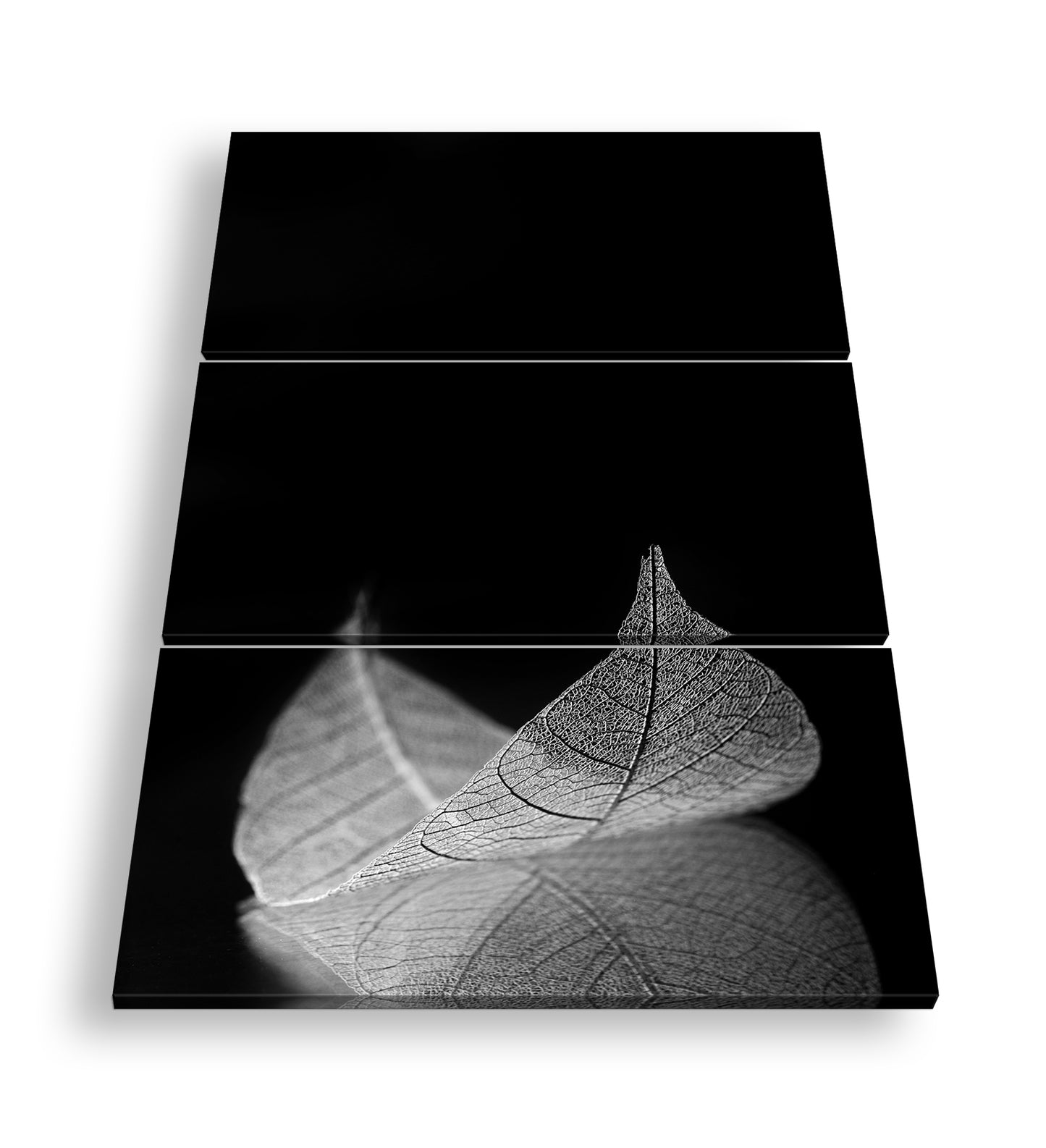 Hauptbild Schwarz & Weiß 3 Teilig