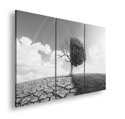 Hauptbild Schwarz & Weiß 3 Teilig