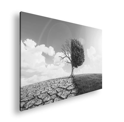 Hauptbild Schwarz & Weiß Standart