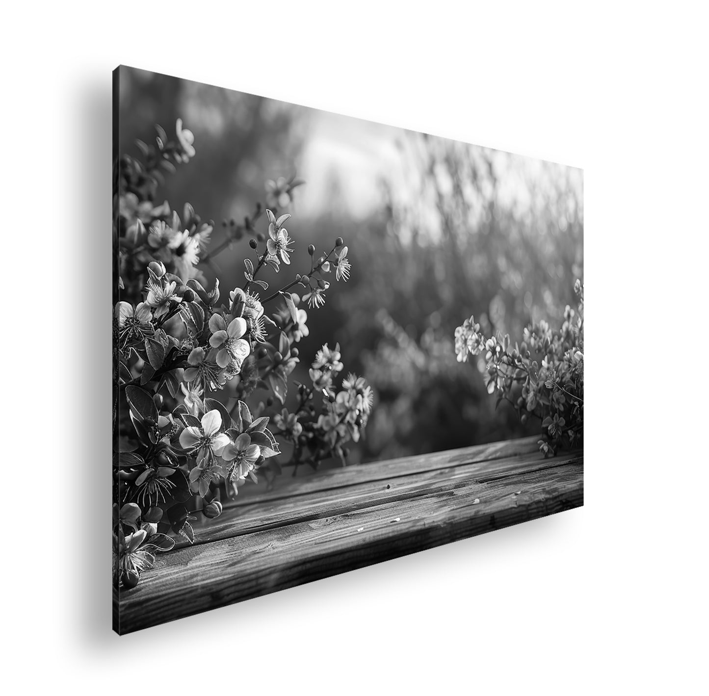 Hauptbild Schwarz & Weiß Standart