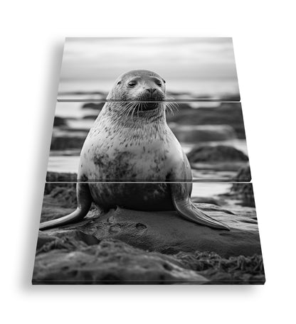 Hauptbild Schwarz & Weiß 3 Teilig