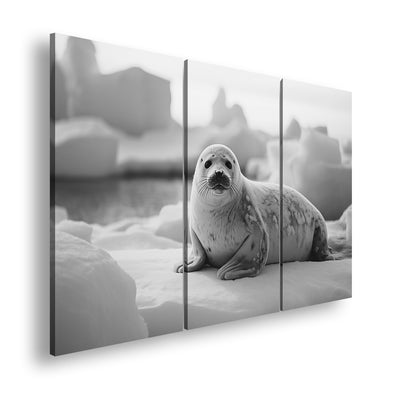 Hauptbild Schwarz & Weiß 3 Teilig