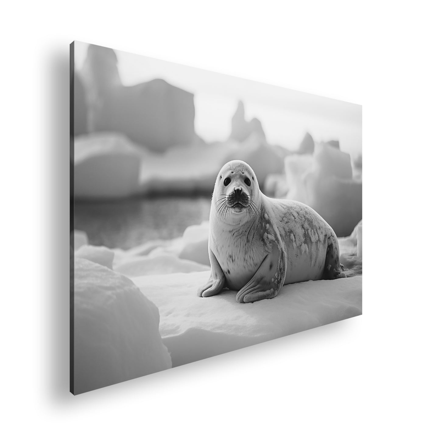 Hauptbild Schwarz & Weiß Standart