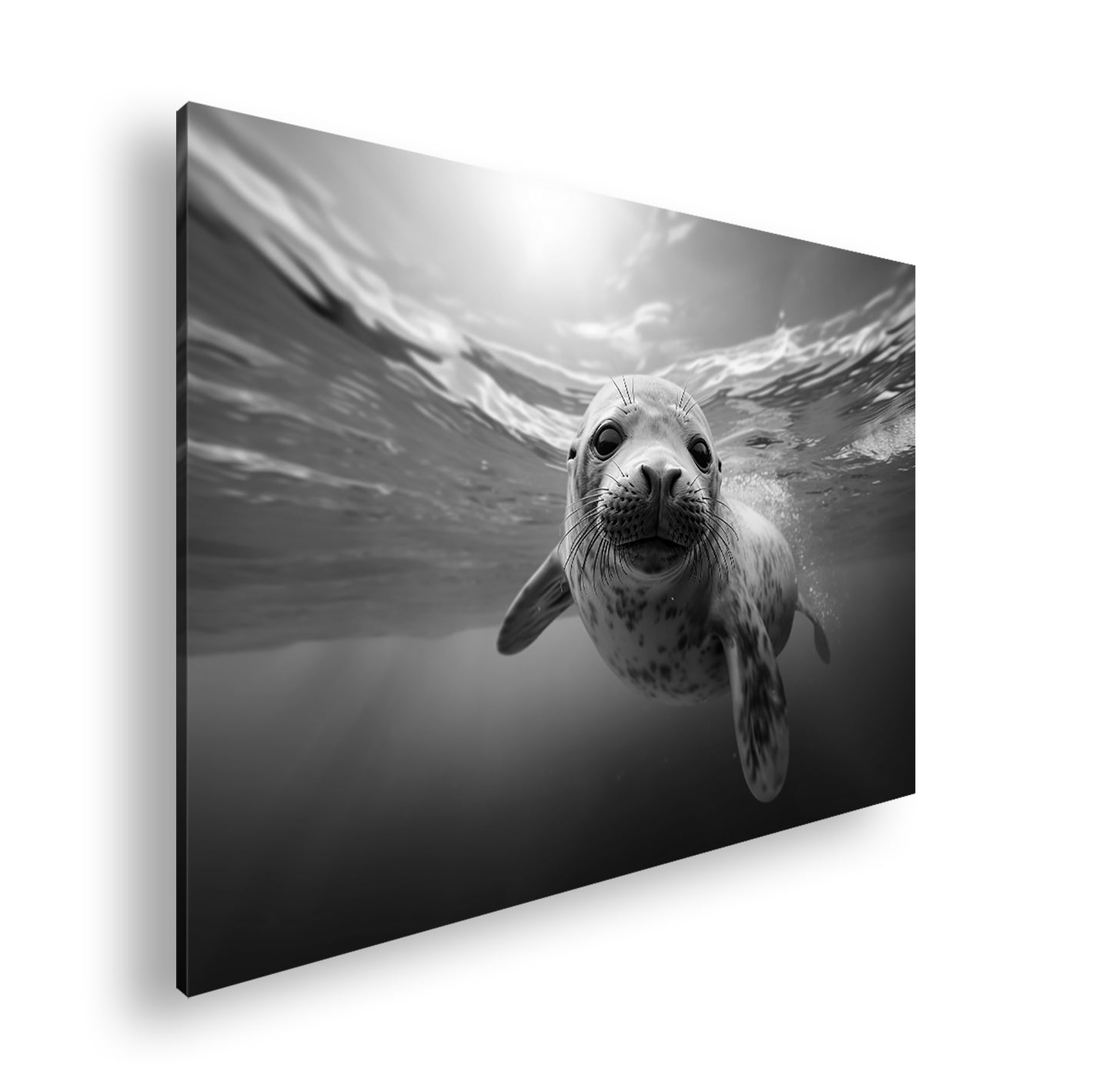 Hauptbild Schwarz & Weiß Standart