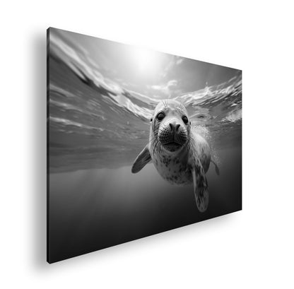 Hauptbild Schwarz & Weiß Standart