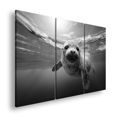 Hauptbild Schwarz & Weiß 3 Teilig