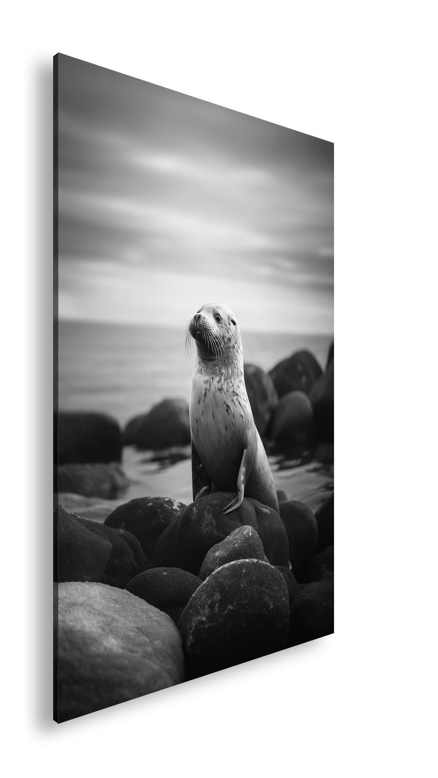 Hauptbild Schwarz & Weiß Standart