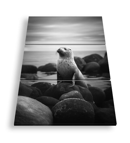 Hauptbild Schwarz & Weiß 3 Teilig