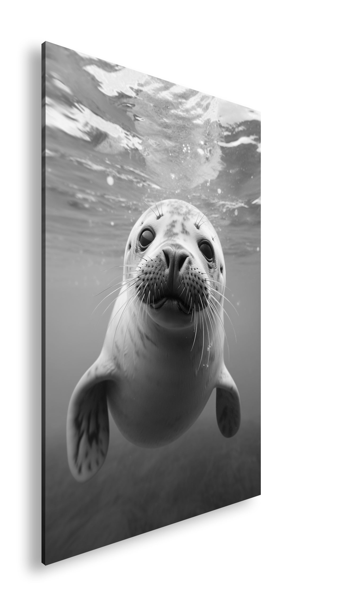 Hauptbild Schwarz & Weiß Standart