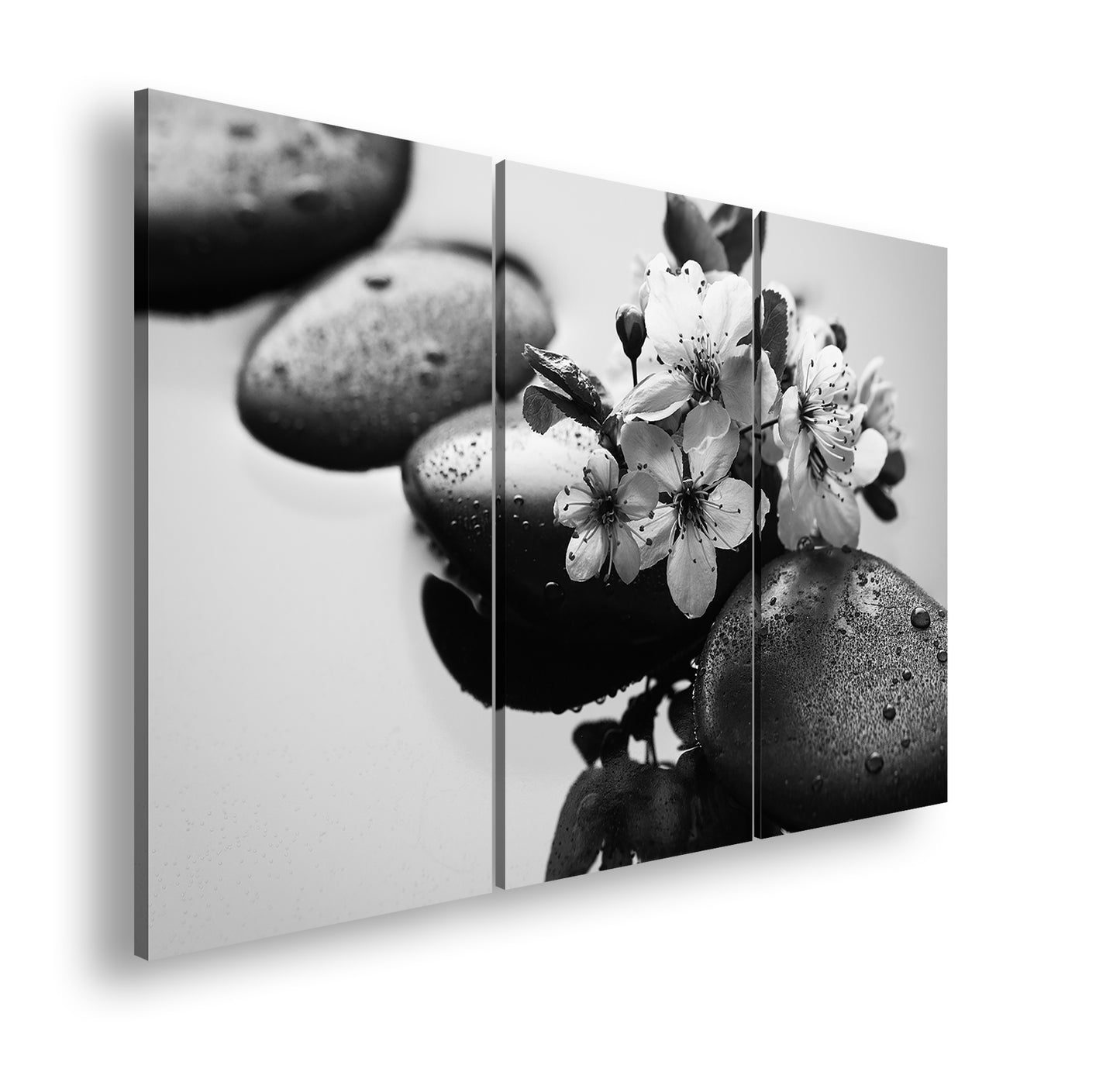 Hauptbild Schwarz & Weiß 3 Teilig