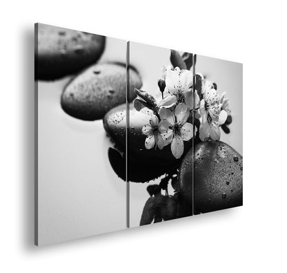 Hauptbild Schwarz & Weiß 3 Teilig