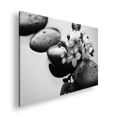 Hauptbild Schwarz & Weiß Standart