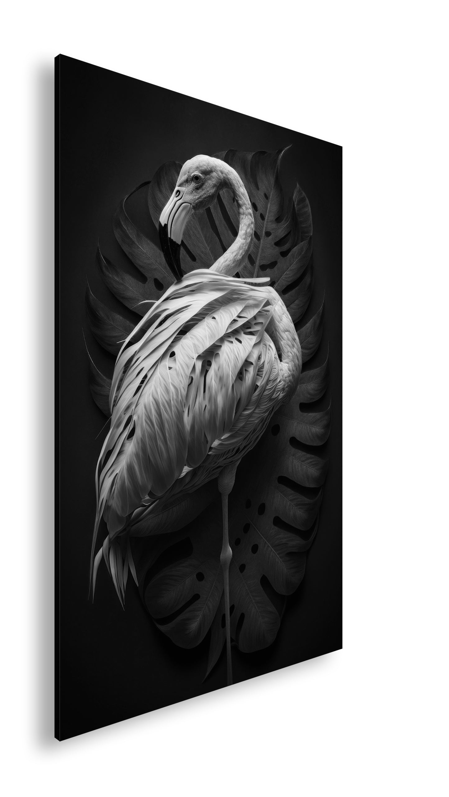 Hauptbild Schwarz & Weiß Standart