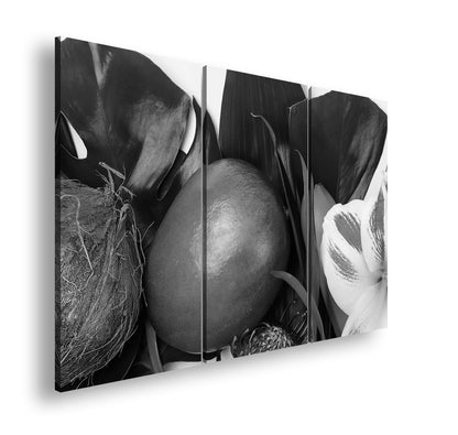 Hauptbild Schwarz & Weiß 3 Teilig