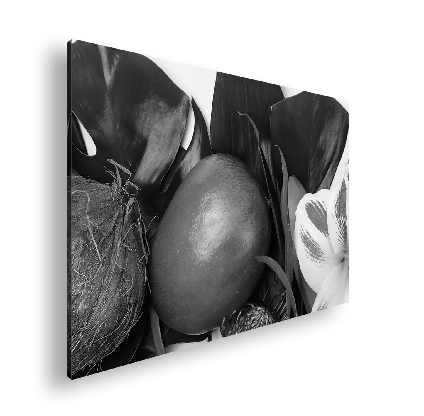 Hauptbild Schwarz & Weiß Standart