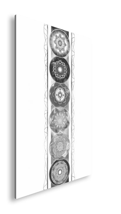 Hauptbild Schwarz & Weiß Standart