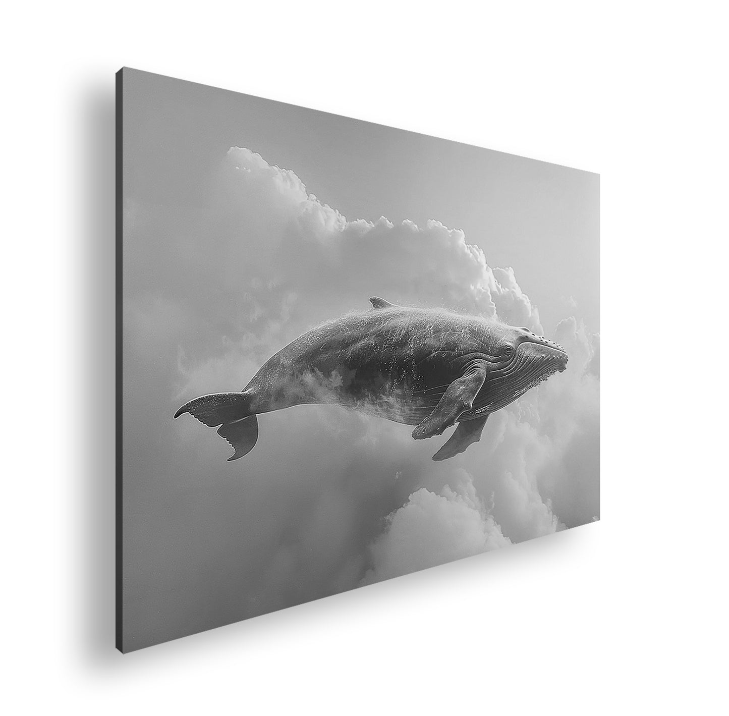 Hauptbild Schwarz & Weiß Standart