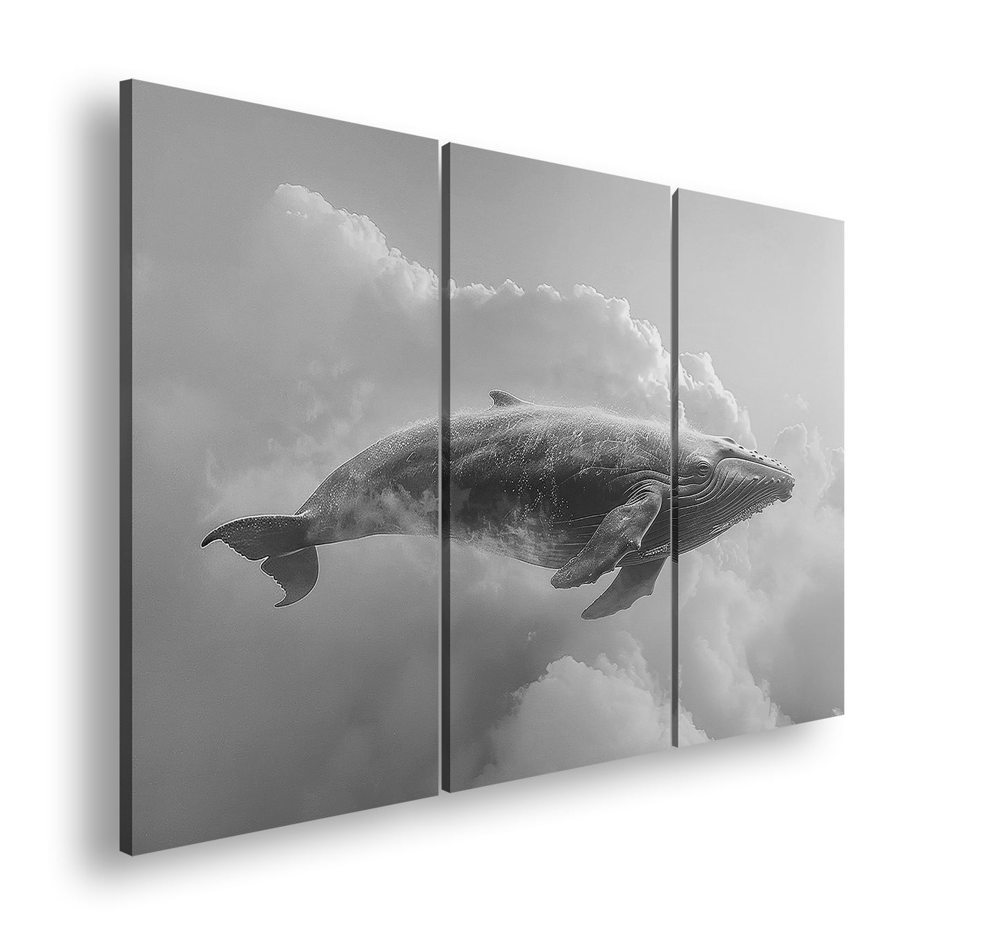 Hauptbild Schwarz & Weiß 3 Teilig