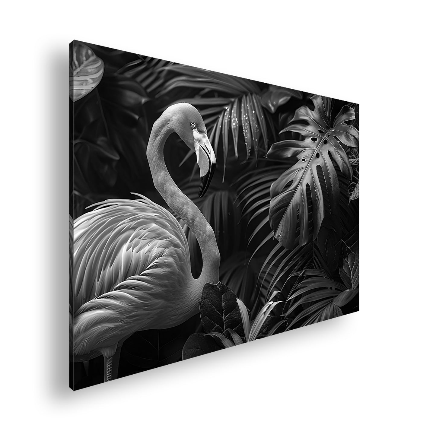 Hauptbild Schwarz & Weiß Standart