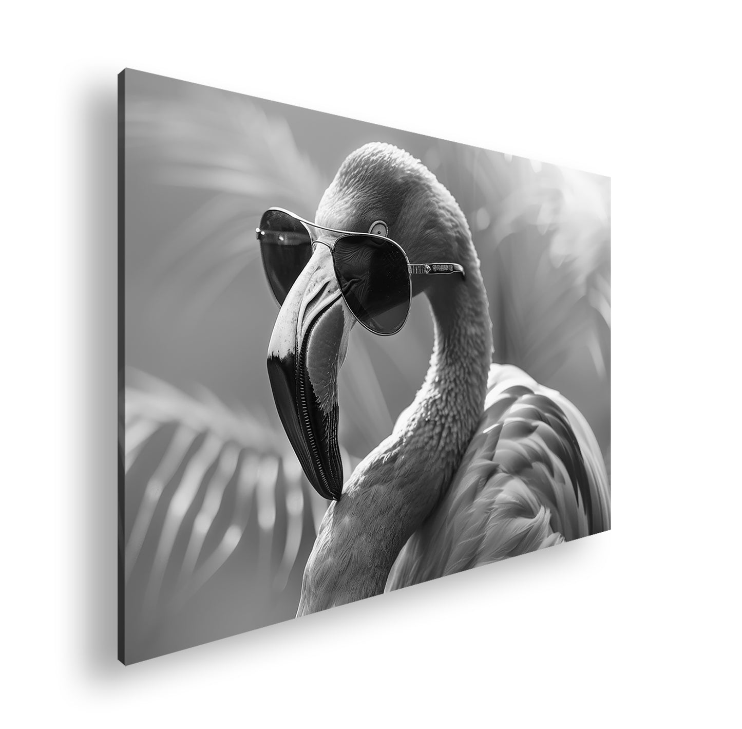 Hauptbild Schwarz & Weiß Standart