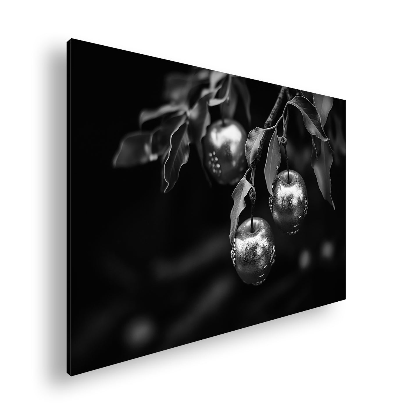 Hauptbild Schwarz & Weiß Standart