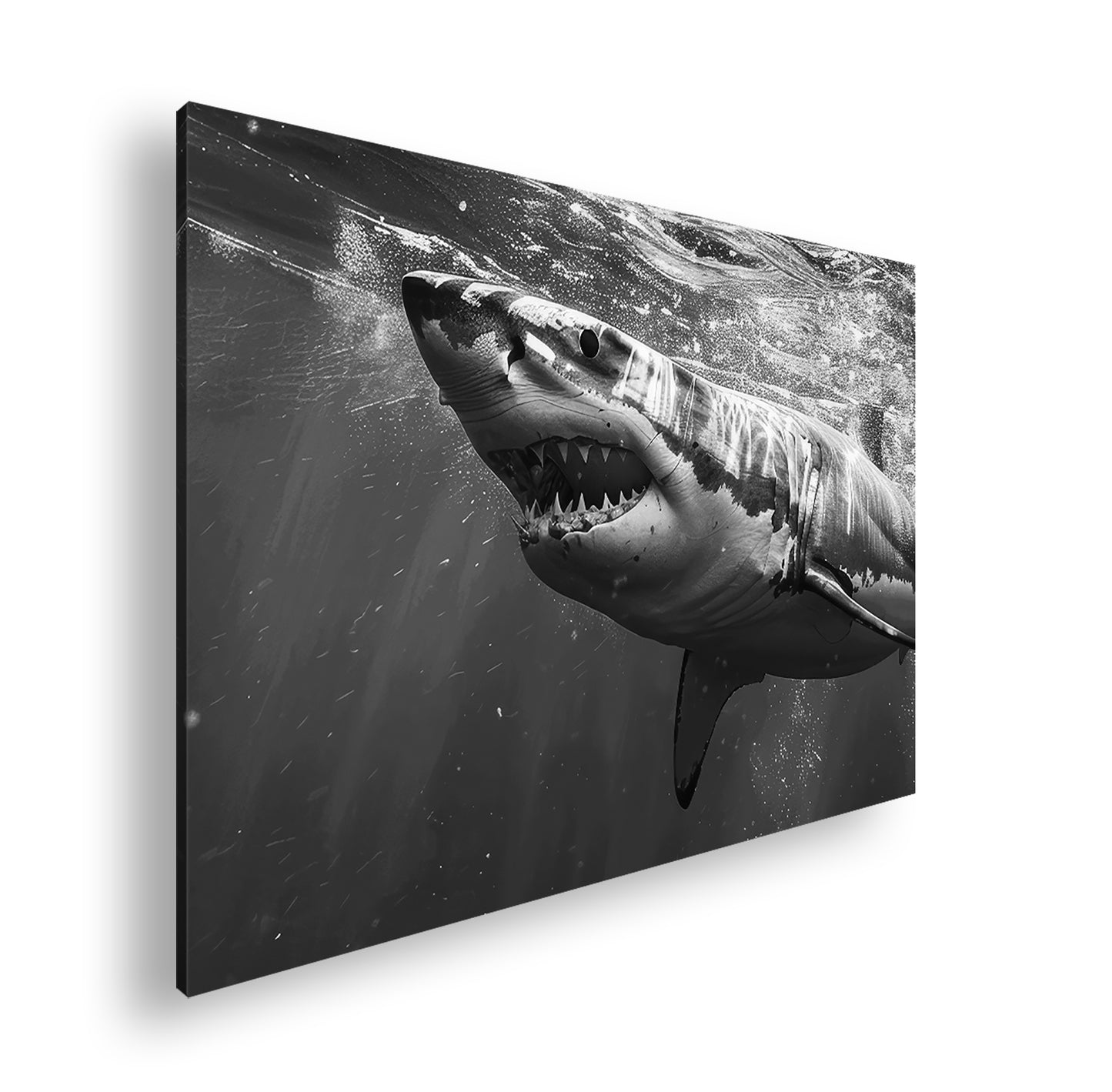 Hauptbild Schwarz & Weiß Standart