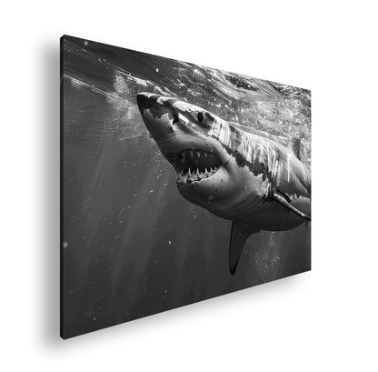 Hauptbild Schwarz & Weiß Standart