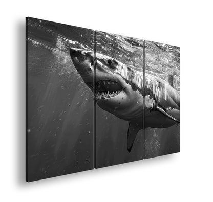 Hauptbild Schwarz & Weiß 3 Teilig