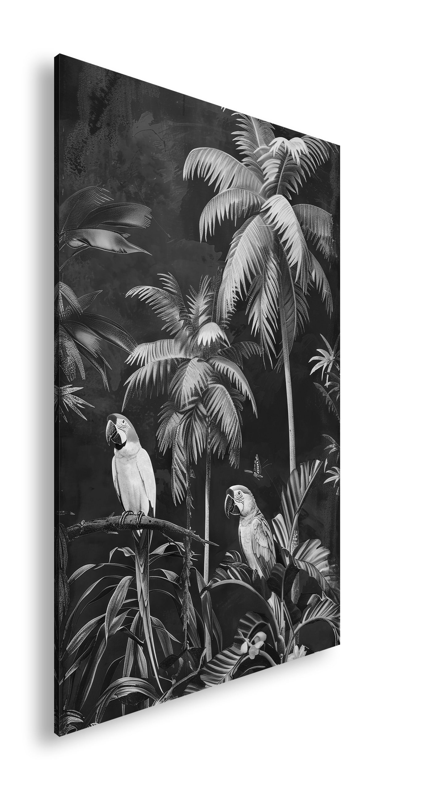 Hauptbild Schwarz & Weiß Standart