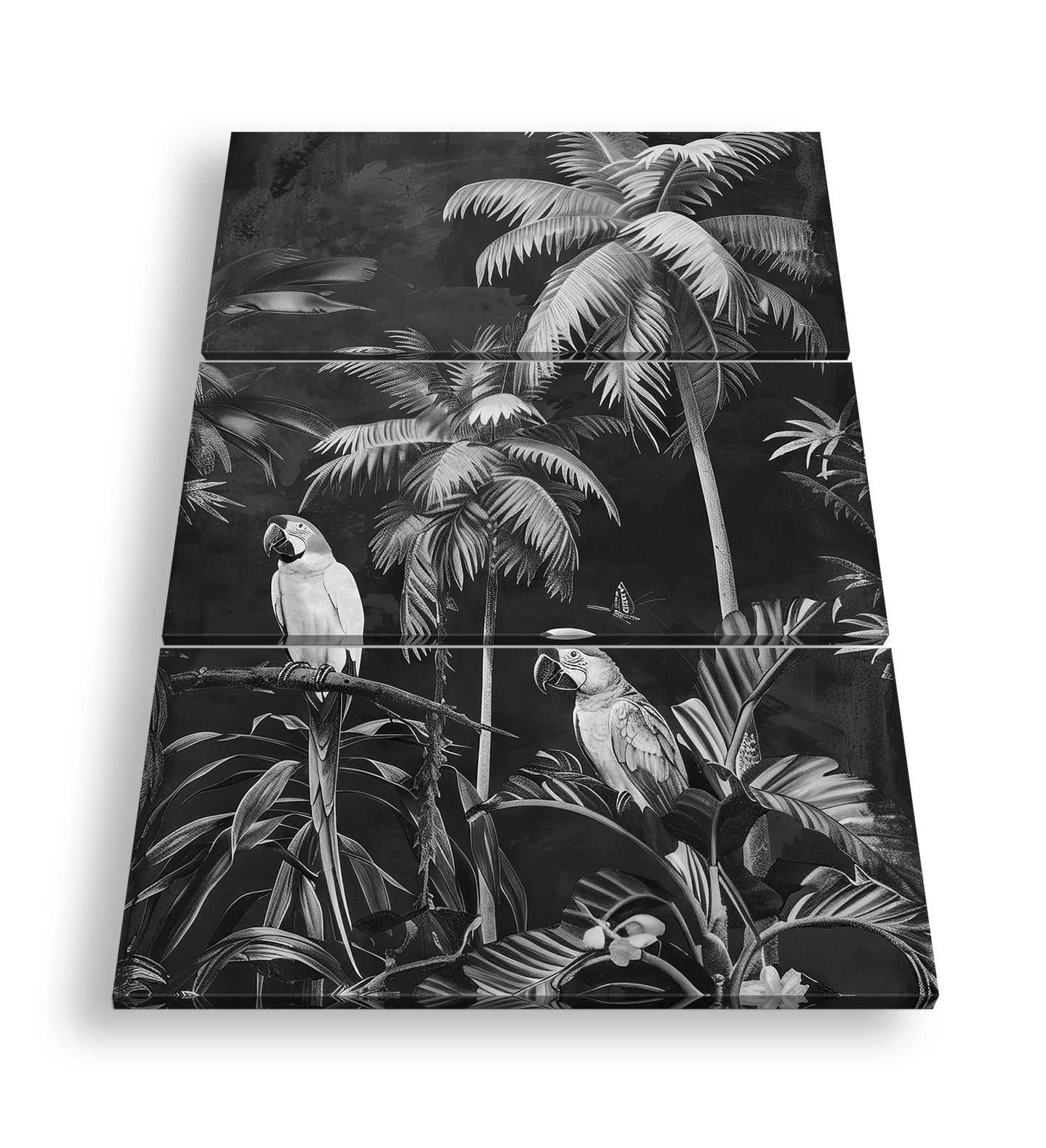 Hauptbild Schwarz & Weiß 3 Teilig