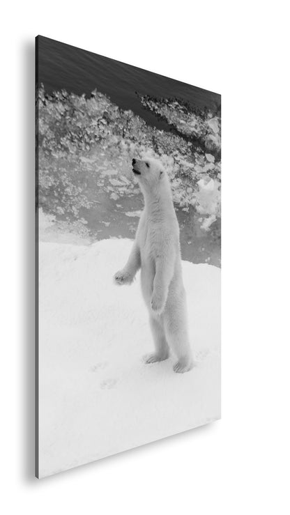 Hauptbild Schwarz & Weiß Standart