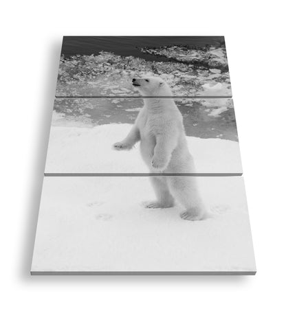 Hauptbild Schwarz & Weiß 3 Teilig