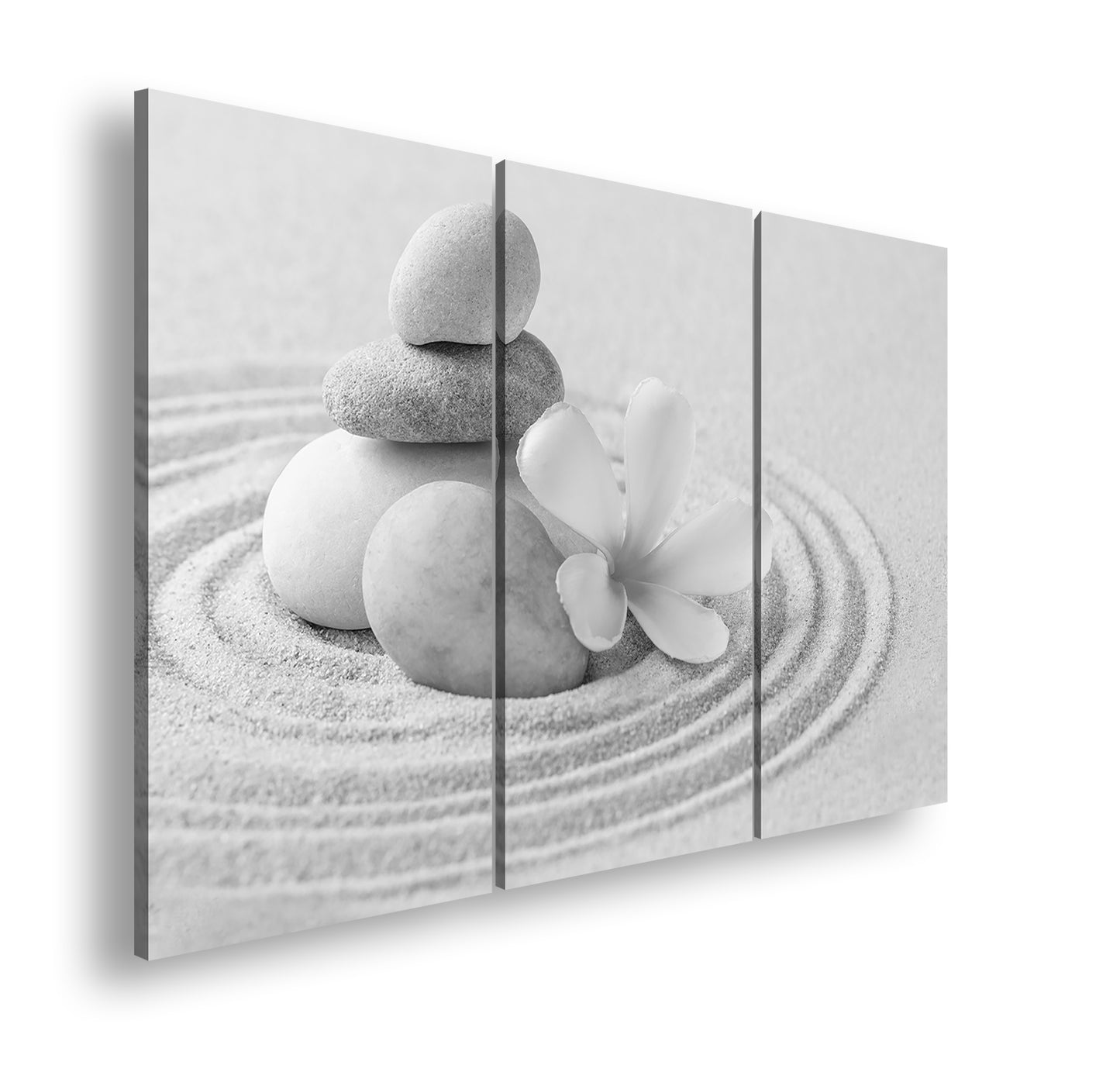 Hauptbild Schwarz & Weiß 3 Teilig