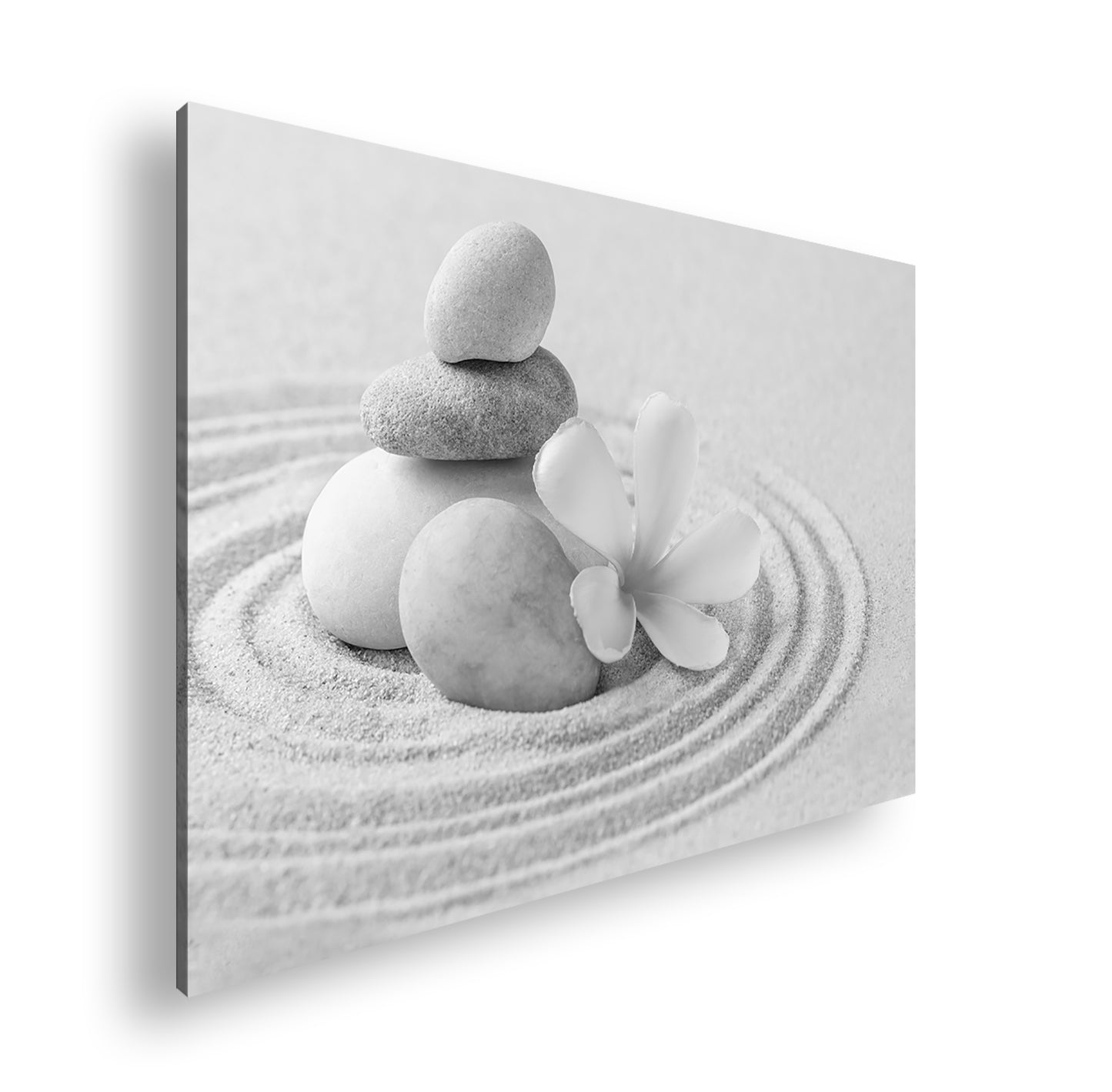 Hauptbild Schwarz & Weiß Standart