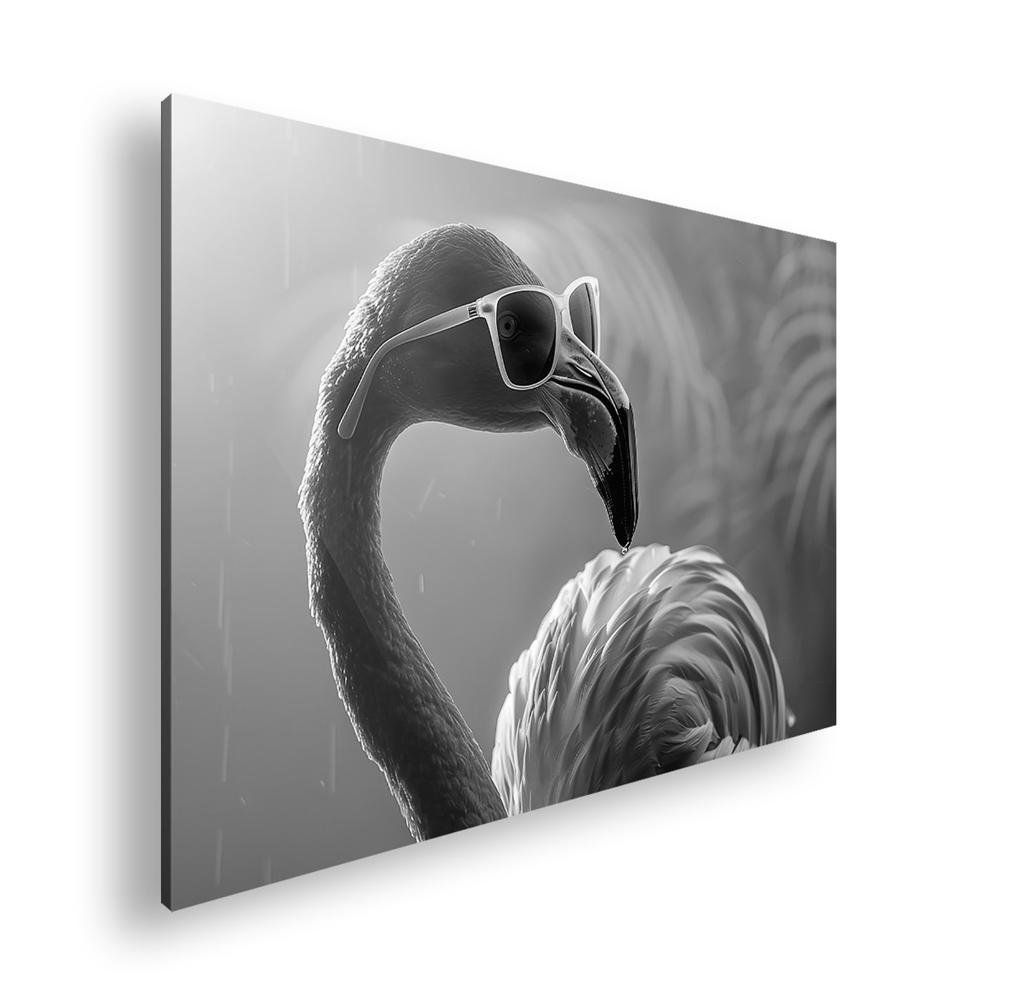 Hauptbild Schwarz & Weiß Standart