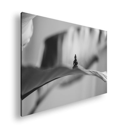 Hauptbild Schwarz & Weiß Standart