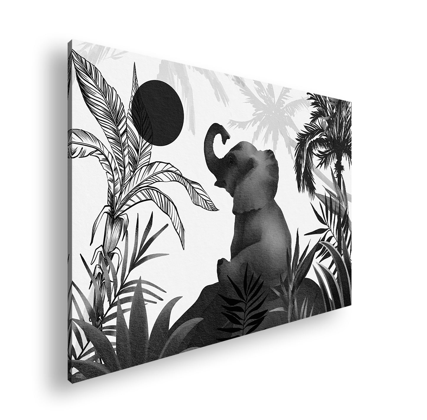 Hauptbild Schwarz & Weiß Standart