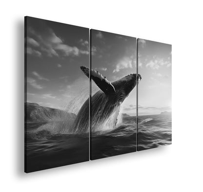 Hauptbild Schwarz & Weiß 3 Teilig