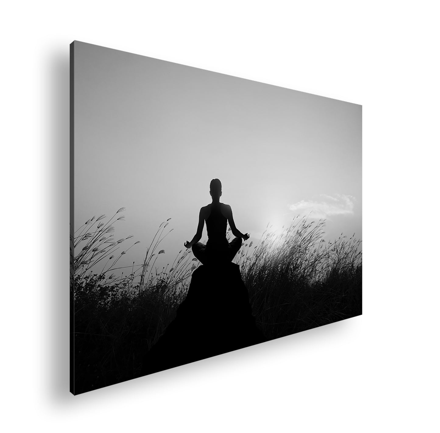 Hauptbild Schwarz & Weiß Standart