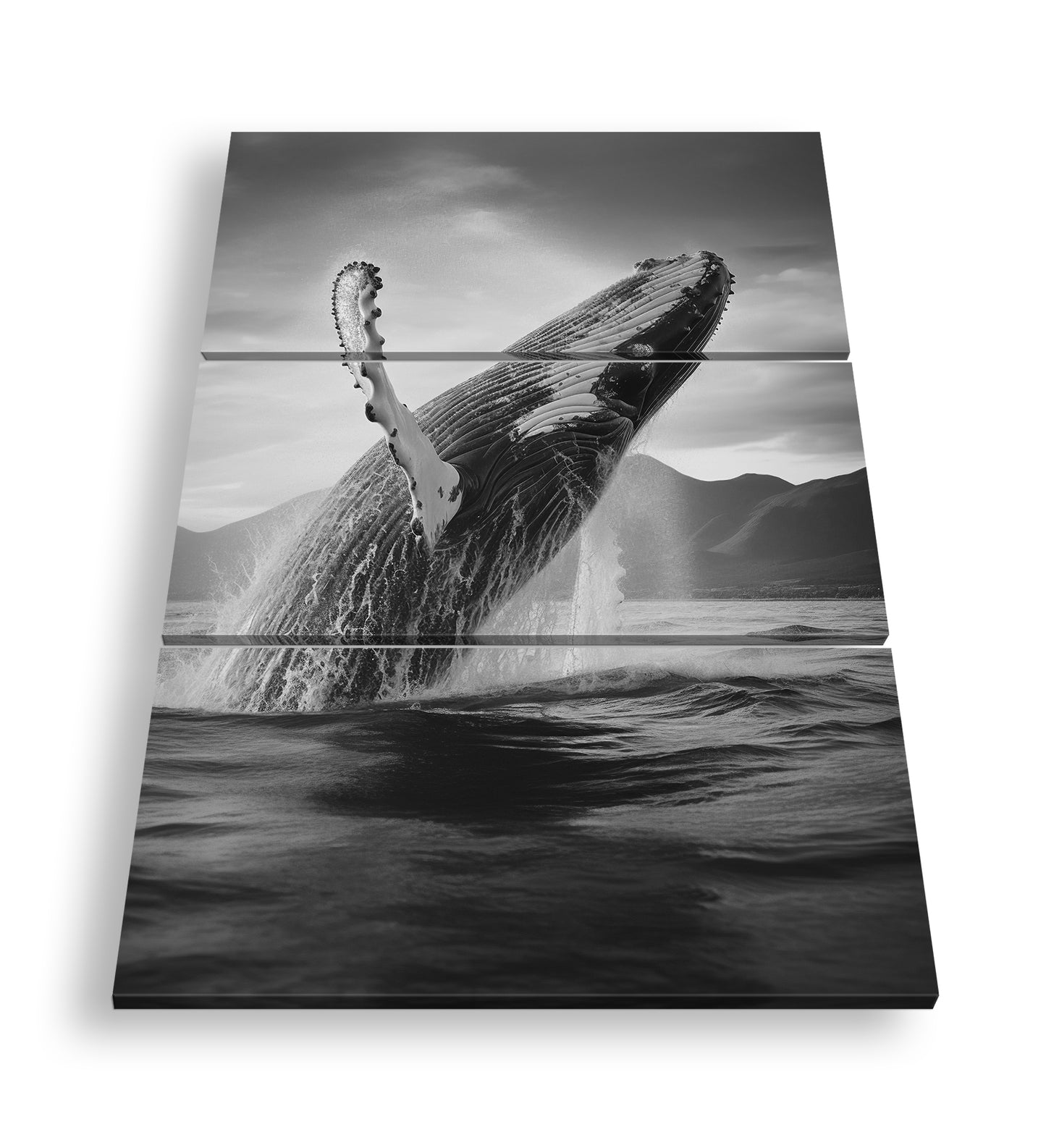 Hauptbild Schwarz & Weiß 3 Teilig