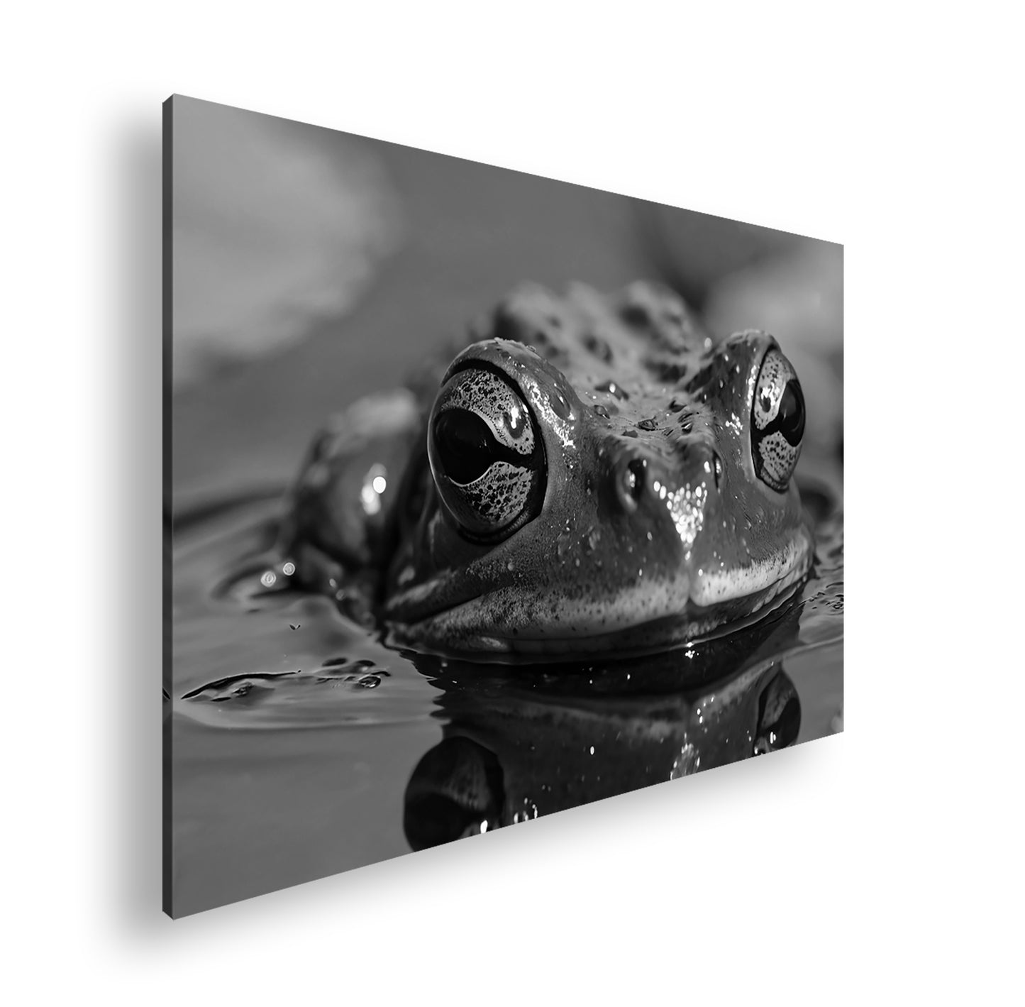 Hauptbild Schwarz & Weiß Standart