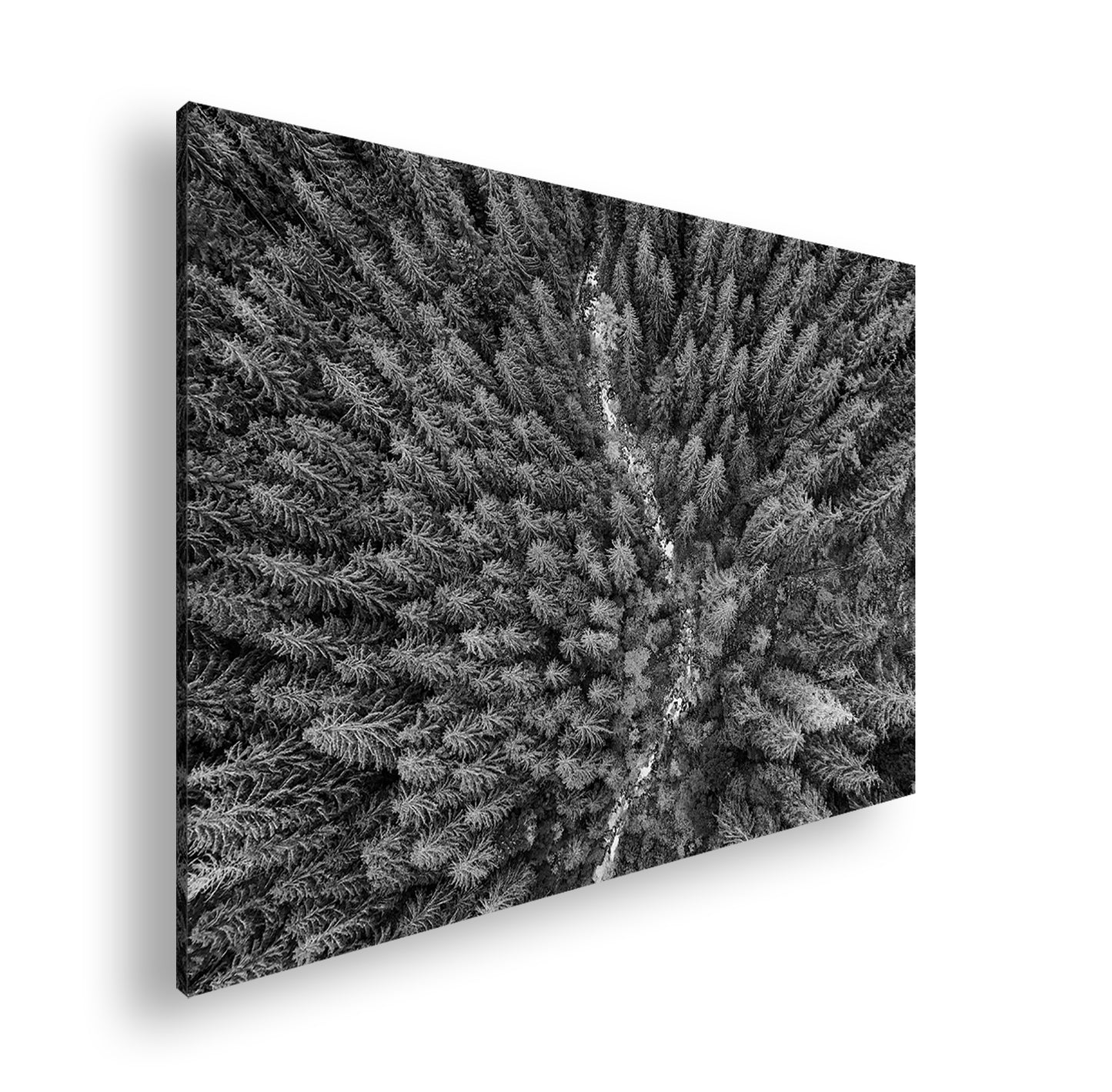 Hauptbild Schwarz & Weiß Standart