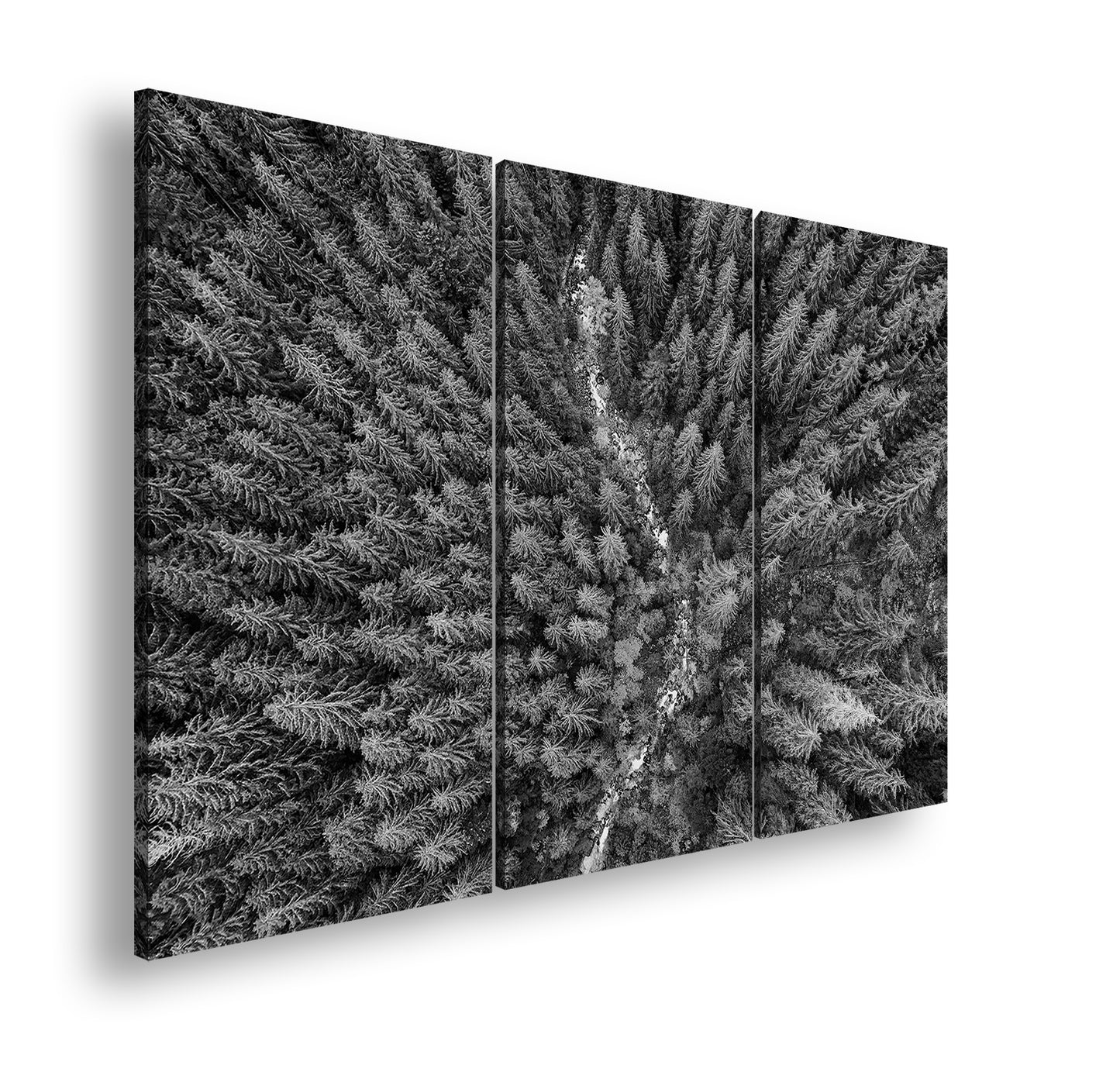 Hauptbild Schwarz & Weiß 3 Teilig