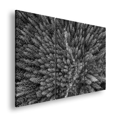 Hauptbild Schwarz & Weiß 3 Teilig