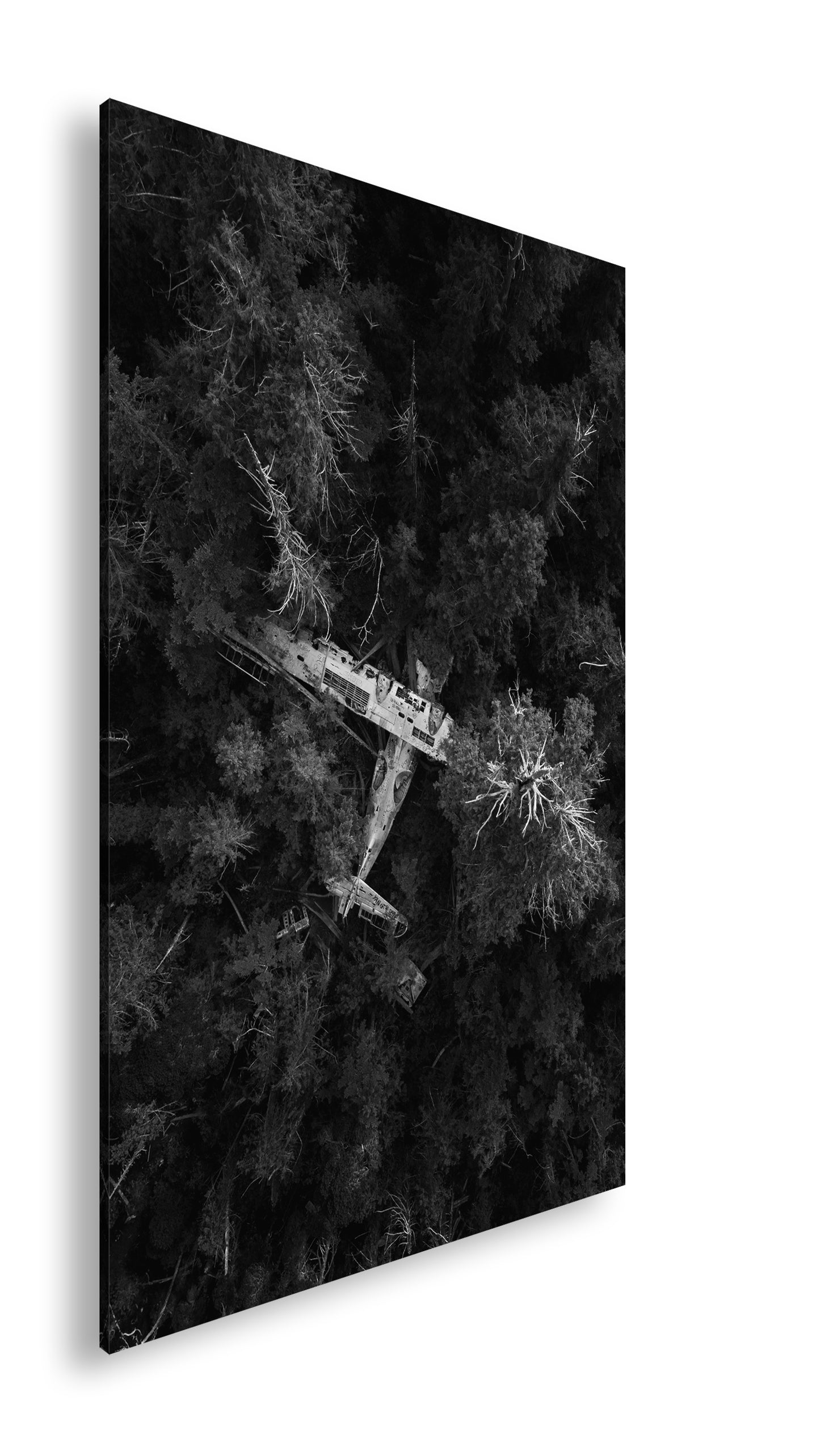 Hauptbild Schwarz & Weiß Standart