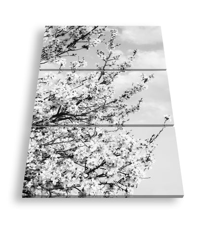 Hauptbild Schwarz & Weiß 3 Teilig