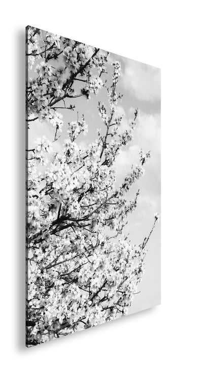 Hauptbild Schwarz & Weiß Standart